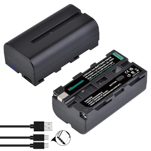 Hisewen Paquete de 2 baterías NP-550 de 2800 mAh, compatible con luz de vídeo LED, luz de anillo, monitor (no para videocámara ni cámara)