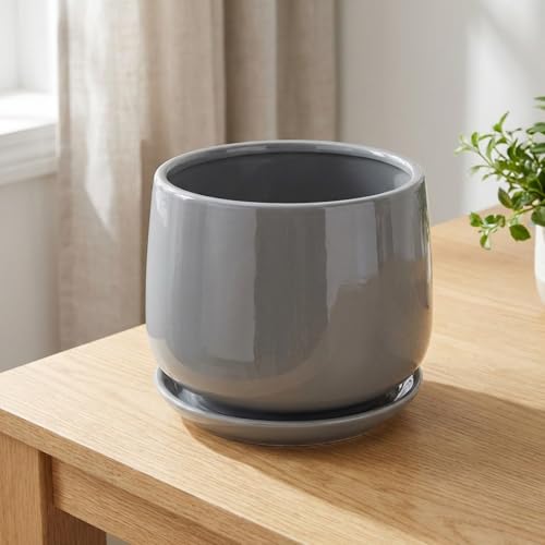 �����퐻�A�ؔ� ���^�T�C�Y �O���[ �󂯎M�t�� �k�����V���v���f�U�C�� �x�����_ �K�[�f�j���O �ϗt�A���͔| �����C���e���A�����ɓK�p ������a21.5cm �ꕔ���a18.2cm (L�T�C�Y�F���a17cm�A���a14.5cm�A����14.3cm,�O���[)