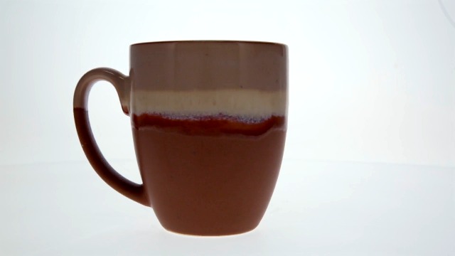 Mug de gres Cape Shore 18oz con diseño cactus miniatura 7