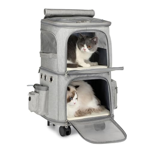 Kiwet L 2 C L[ bN LX^[t ^  L[ J[g 2i ybg lR  g[obO e ʋC s/ʉ@/ʋ@/ЊQp O[ (O[)