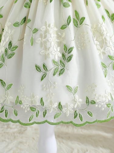 Image of Tagas Girls' Princess Dress | Girl Dress |Dresses birthdaydress for Babygirls | A-Line Knee-Length Dress