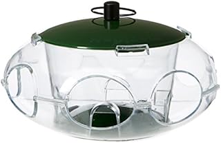 Peckish 60053061 Bird Seed Feeder for Small Birds, 24.8 x 14.8 x 5.4 cm, Green