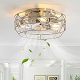 Brushed Nickel Caged Ceiling Fans with Lights and Remote,6 Speeds,12 inch Industrial Flush Mount Ceiling Fan with Light，Modern Bladeless Fan...