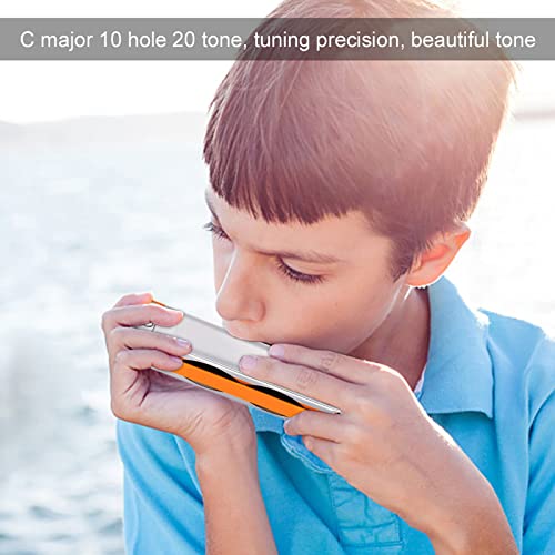Dilwe Harmonica, C Key AM-20D Phosphore Bronze Reed 10 Trous 20 Tons Blues Harmonica Instrument à Vent pour Adultes… - Les Beatles, Paul McCartney, John Lennon, RIngo Starr, George Harrison Dilwe Harmonica, C Key AM-20D Phosphore Bronze Reed 10 Trous 20 Tons Blues Harmonica Instrument à Vent pour Adultes… – Image 5