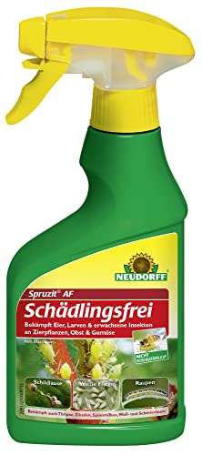 Weiss Schädlingsbekämpfung Die 15 besten Produkte im Vergleich
