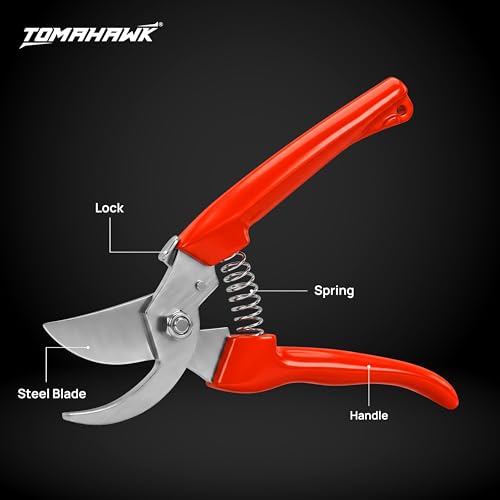 Product Variant View