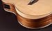 Washburn Bella Tono 6 String Acoustic-Electric Guitar, Right, Gloss Natural (BTSC56SCE-D)
