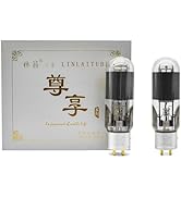 Amazon.com: LINLAI ZX-KT88 1 Pair KT88 Free Matching Vacuum