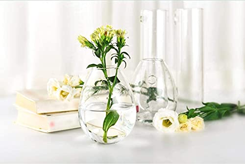 Kingbuy Wall Planter Terrariums Propagation Stations - 2 Cylinder Shaped And 4 Egg Shaped Glass Vases #TOP6