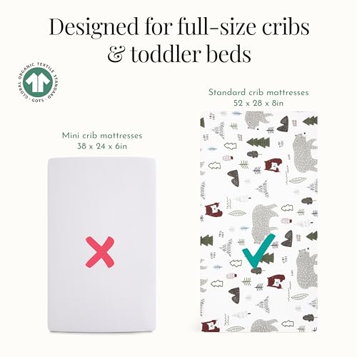 Image of Evolur Grizzly Bear 3 Piece Toddler Bedding Set, Super Soft and Breathable Toddler Bedding, Machine Washable, Includes Fitted Sheet, Comforter and Pillow Case