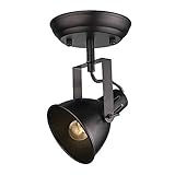 LALUZ Semi Flush Mount Adjustable 1 Head Track Lighting Fixture Modern Ceiling Spotlight, A03200