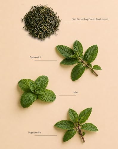 Image of Himalayan Firefly Moroccan Mint Herbal Tea Monthly Pack | Spearmint And Peppermint Loose Leaf Blend | Aromatic Mint Herbal Infusion For Daily Beverage Routines | Home Office Tea Use | 50g