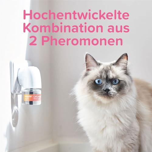 Beaphar CatComfort® Excellence Starter-Kit, 1 St./48ml (DE95223688)