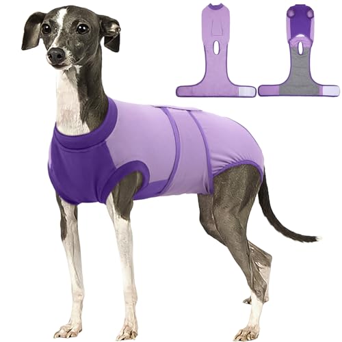 Image of Kuoser Recovery Suit for Dogs After Surgery, Soft Dog Surgery Suit Female Male, Breathable Pet Surgical Recovery Shirt, Anti Licking Dog Onesie for Abdominal Wounds Cone Alternatives, Purple L