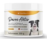 EXVital TierPlus Darm Aktiv Pulver für Hunde, Probiotika & Präbiotika für eine gesunde Darmflora- Nach Durchfall, Wurmkur, Antibiotika & Magen- Darm