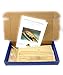 Lowell Grand Banks Dory Wooden Model Ship Kit - 1:24 Scale Plank-on-Frame Construction with Laser Cut Basswood Parts, Detailed Plans & Instructions, Display Base Included - Beginner Level