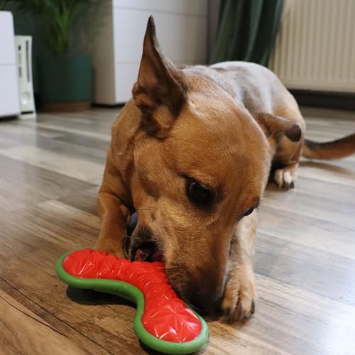 Dingo Hundespielzeug aus Hart Gummi TPR Boomerang TRI 16,5 cm 17394