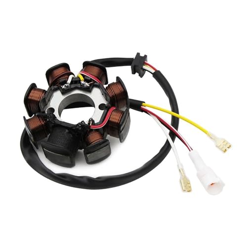Bobine de stator pour moto d'enduro performance durable pour TX300 et EXC 450