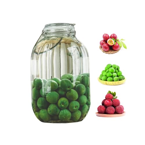 梅酒ボトル ガラス フルーツワインボトル 果実酒びん 密閉容器 ガラス製 密封保存 大容量2L/3L/4L/5L 蛇口付き におい移り防止 湿気防止 コーヒー豆茶砂糖保存 取っ手付き 加厚 ヤマモモ/青梅対応 食品保存用 果実酒 づくり (3L,四角) [