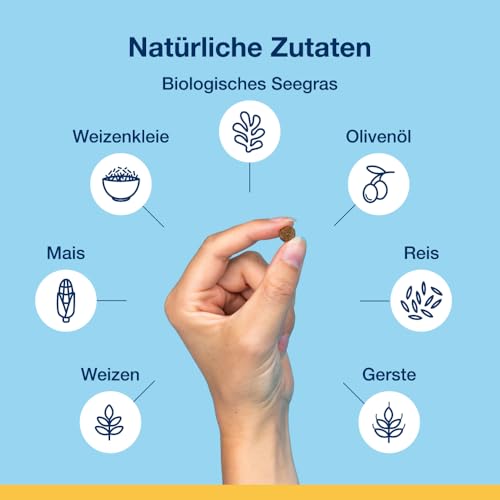 ProDen PlaqueOff Bites, Kauartikel für Zahnpflege Hund 60 g, Hunde Leckerlies zum Zahnbelag entfernen, Für kleine Hunde, Bei Plaque und für frischen Atem, Zahnreinigung Hund, Gemüse