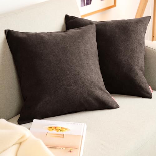 Blumtal Housse de Coussin 45x45 cm - Lot de 2 - Housse Coussin 45x45 cm en Chenille Douce avec Fermeture éclaire cachée - Protection décorative certifiée Oeko-Tex -...