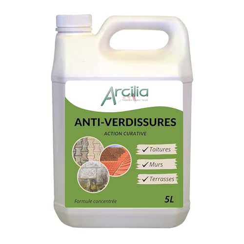 ARCILIA - Nettoyant professionnel anti-verdissures - 5L - Entretien façades, toitures et terrasses - 1 bidon