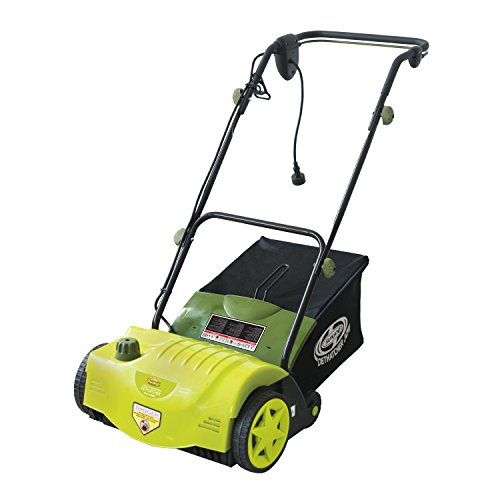 The Best Electric Dethatcher