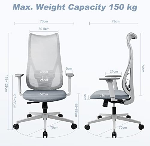 MELOKEA Ergonomic Office Chair, Desk Chair with Adjustable Lumbar Support, High Back Computer Chair, Mesh Office Chairs for Home, Gray
