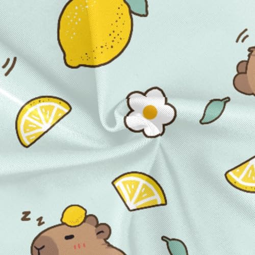 Image of Girls One Piece Swimsuits Capybara with Cute Strawberry Cute Swimwear Bathing Suits 3-10T