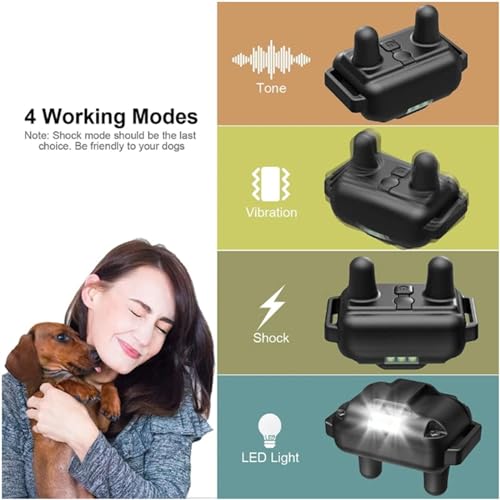 Détail technique du collier pour chien en nylon réglable