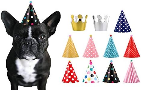 CBM Dog Party Hat Set - Dog Birthday Party - Hats and Crowns Party Time - 11pcs