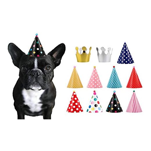 CBM Dog Party Hat Set - Dog Birthday Party - Hats and Crowns Party Time - 11pcs
