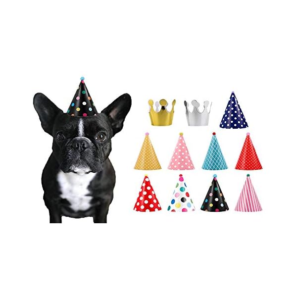 CBM Dog Party Hat Set Dog Birthday Party Hats and Crowns Party Time