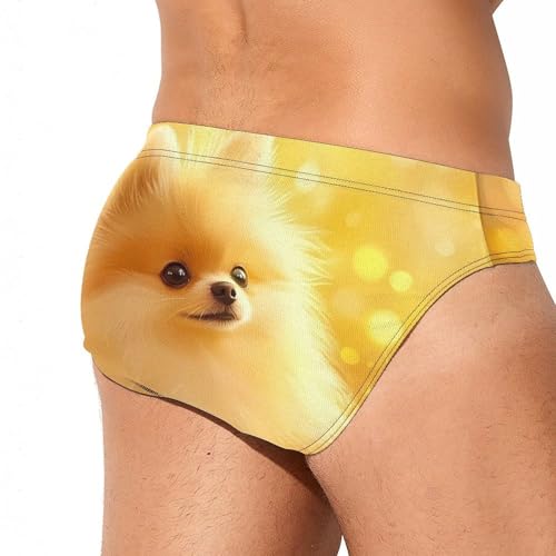 Cute Fluffy Pomeranian Men's Swim Trunks Briefs Swimsuit Swimwear Bathing for Underwear Beach4
