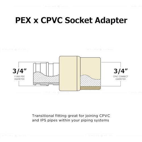 Image of Pex-A Brass Adapter Pex-A x CPVC 3 /4 inch Socket Coupling, LeadFree, for use with Pex-A Tubing