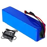 Sein 36V 6Ah Batterie au Lithium pour vélo électrique 10S2P Batterie Li-ION Rechargeable Convient aux Scooters électriques 500W Tricycles électriques Outils de Voiture pour Enfants avec Chargeur