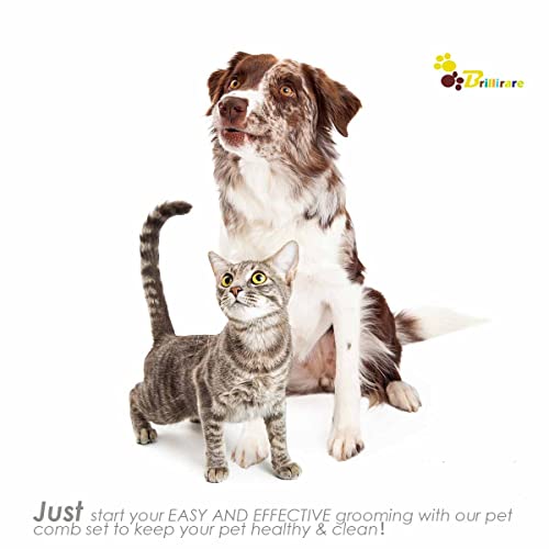 Brillirare 6 Stück Katze Hund Flohkamm, Metall Zähne Haustier Kämme, Edelstahl Läusekamm, 2 in 1 Profi Doppelseitiger Pflege Werkzeug, Tränenfleckentferner für Kleine, Mittlere & Große Haustiere