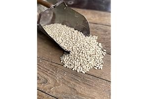 North Lily Navy Beans: Dried, Non-GMO Goodness in Bulk (50 lb)