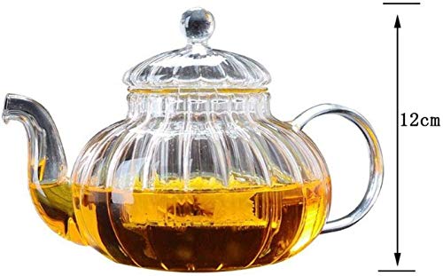 Hervidor de agua y tetera de vidrio con filtro de té para oficina y hogar 600ml 7