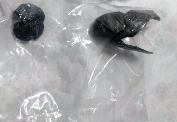 恐竜　フィギュア　ガチャ　海洋堂　古代魚　化石 恐竜 フィギュア ガチャ 海洋堂 古代魚 化石 - メルカリ