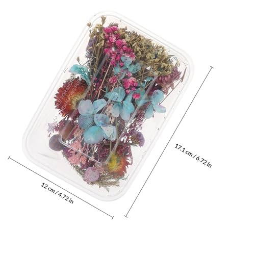 Mini flores secas para manualidades naturales en caja x2 miniatura 2