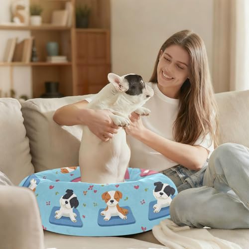 Panier pour chien bleu S contre le stress du chiot - 7