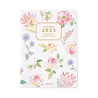 Amazon.co.jp: ミドリ ポケットダイアリー 手帳 2023年 A6