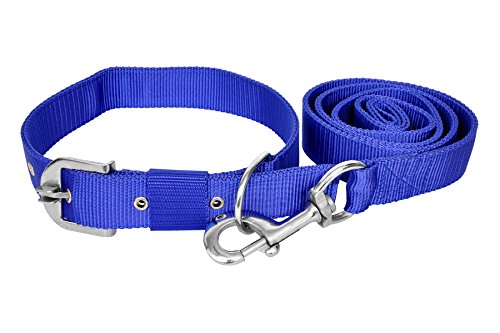 Image of No Pull -Step in Soft Padded Buckle Dog Harness and Collar Leash - Escape Proof Adjustable Combo for Walking Training Hiking Outdoor (Blue, Extra Small)