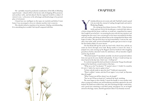 Wuthering Heights: Illustrations by Marjolein Bastin (Marjolein Bastin Classics Series) - Image 4