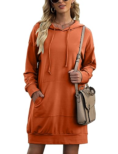 Image of Quenteen Women Hoodies Dress Hooded Sweatshirts Dress Casual Long Sleeve Tunic Dress Oversized Sweatshirts with Pocket