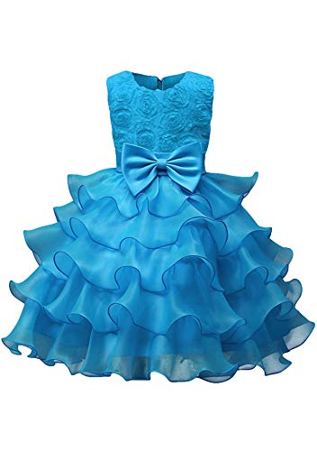 EFOFEI Baby Girls Sleeveless Lace 3D Flower Dress Tutu Holiday Princess Dresses Sky Blue 140
