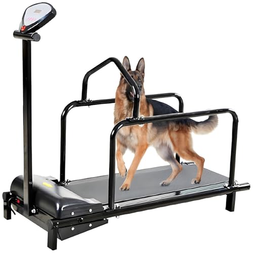 ByBoDi Dog Treadmill