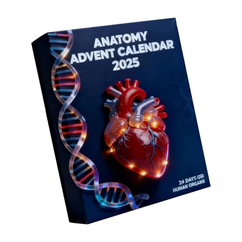 NX^AN IK` NX}Xc[ I[ig 12 s[X MtgZbg ybgɗD Uh~ ݂艺 Ƒ j[NȃIKe[}ɂZbg