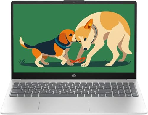 Image of HP 15.6 inch Touchscreen HD IPS Laptop, Intel i3 Processor Up to 4.39GHz, 8GB DDR4 RAM, 256GB SSD, HDMI, Super-Fast 6th Gen WiFi, Windows 11, Renewed